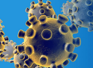 Efsane: COVID-19’a Neden Olan Virüs, Soğuk Algınlığının Mutasyon Geçirmiş Halidir